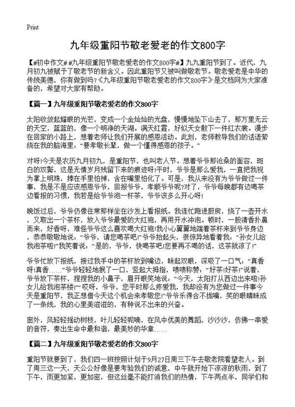 九年级重阳节敬老爱老的作文800字