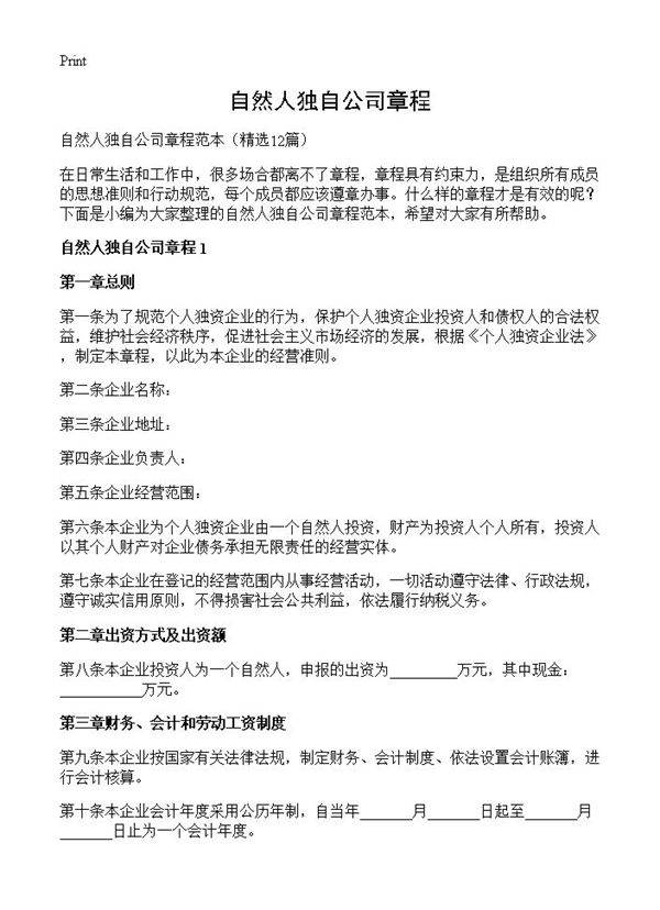自然人独自公司章程12篇