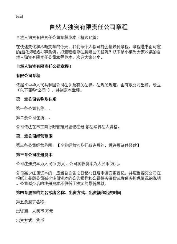 自然人独资有限责任公司章程10篇