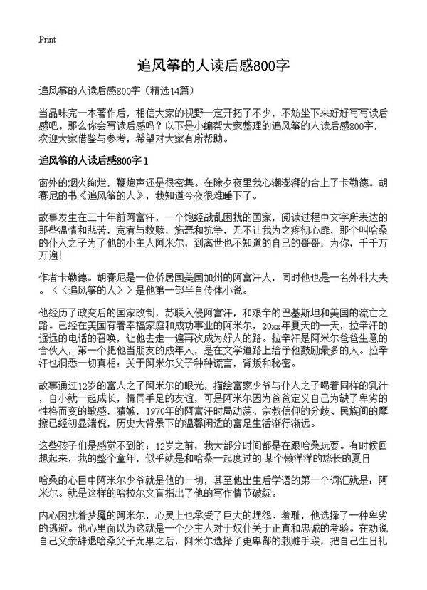 追风筝的人读后感800字14篇