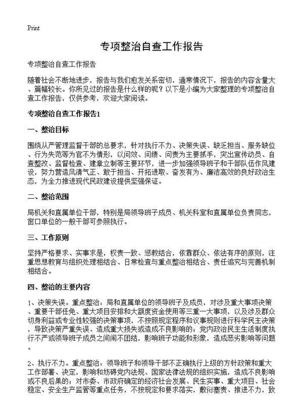 专项整治自查工作报告