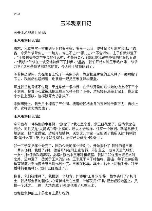 玉米观察日记
