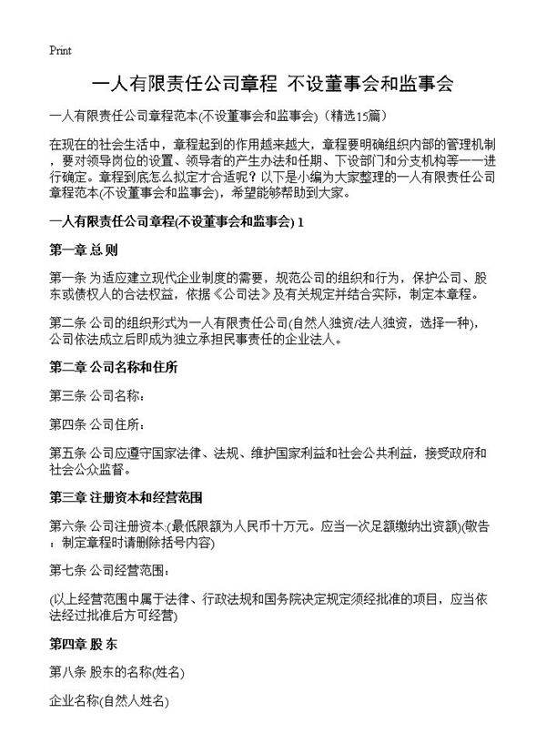 一人有限责任公司章程(不设董事会和监事会)(15篇