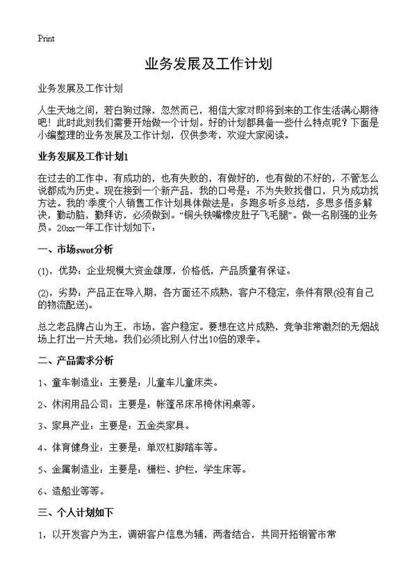 业务发展及工作计划