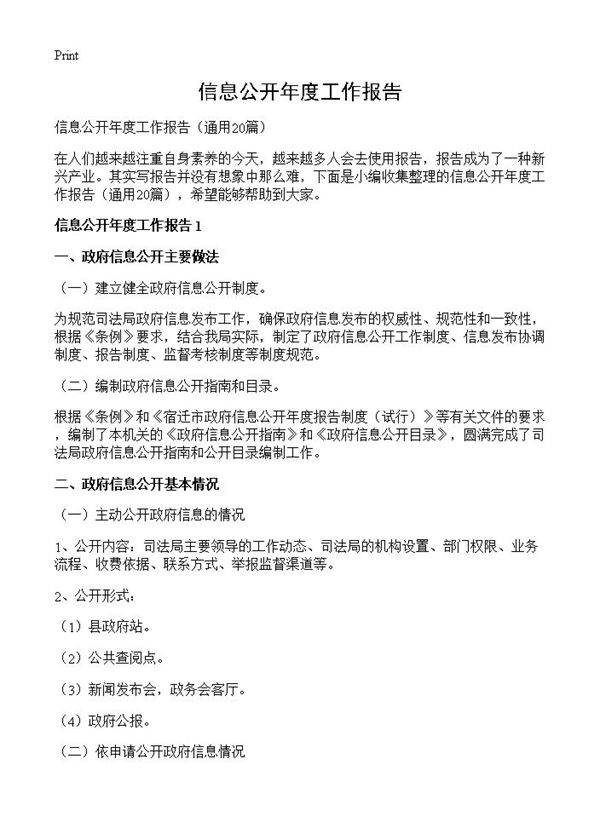 信息公开年度工作报告20篇