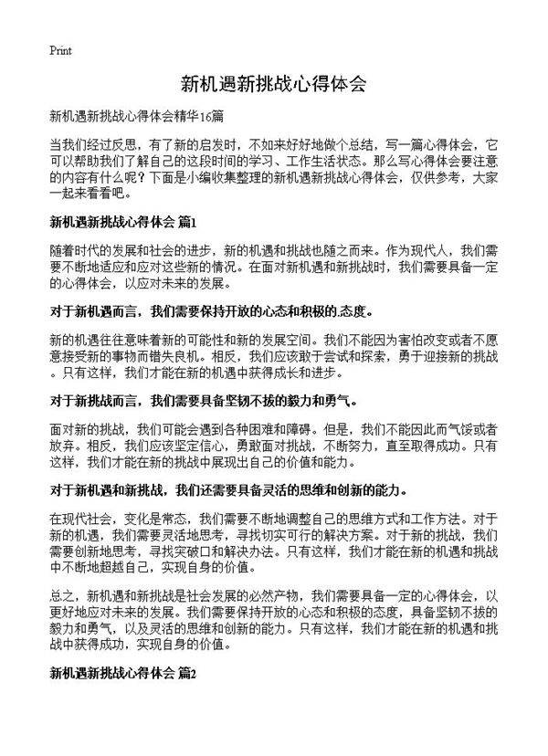 新机遇新挑战心得体会