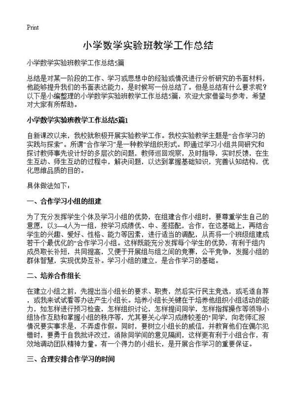 小学数学实验班教学工作总结