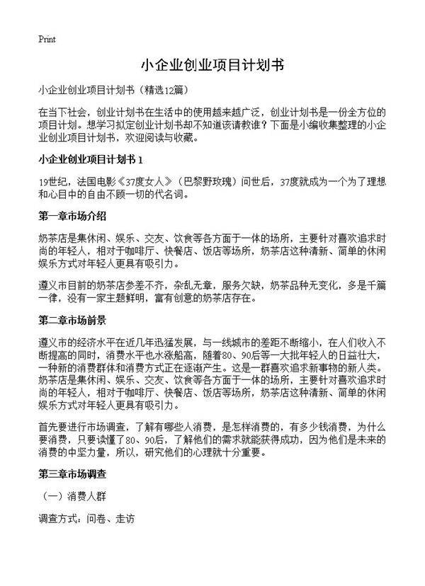 小企业创业项目计划书12篇