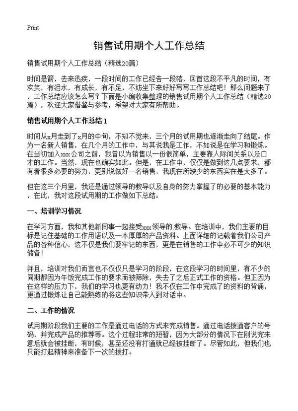销售试用期个人工作总结20篇