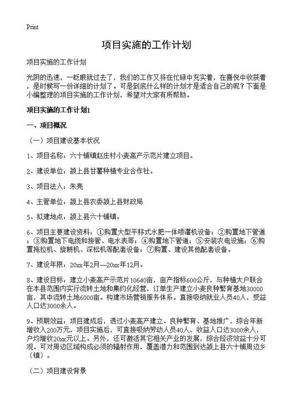 项目实施的工作计划