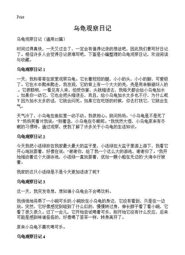 乌龟观察日记85篇