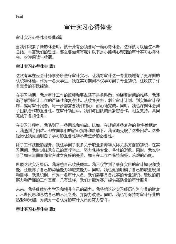 审计实习心得体会