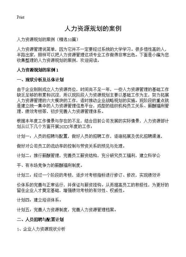 人力资源规划的案例10篇