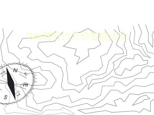 Wix酒吧整体活动