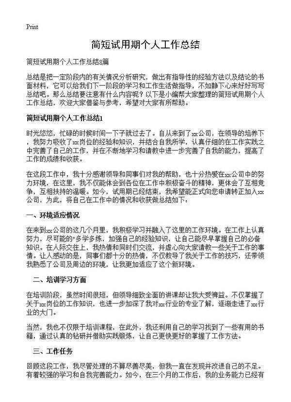 简短试用期个人工作总结
