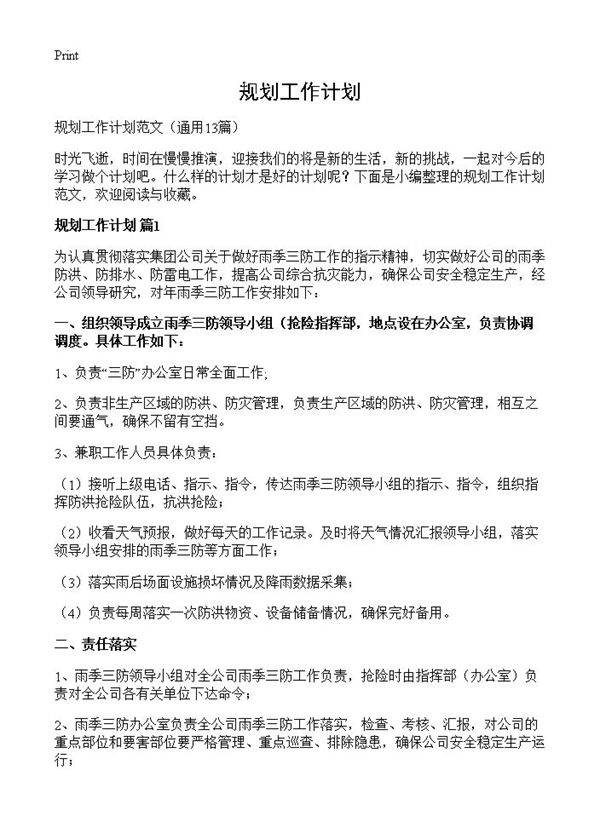 规划工作计划13篇