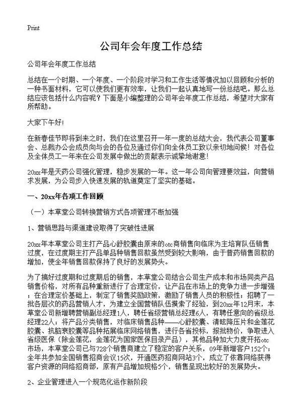 公司年会年度工作总结