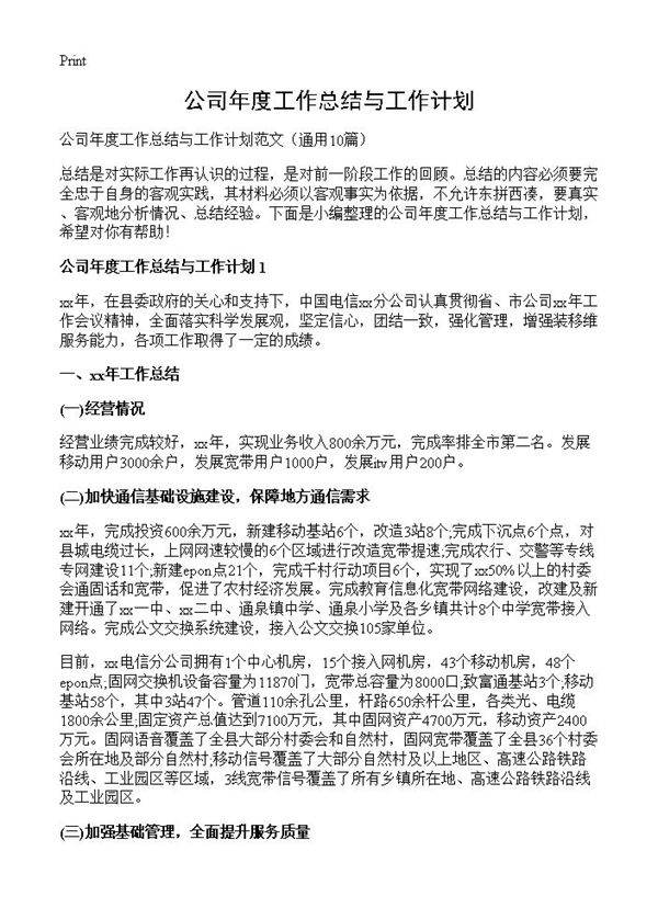 公司年度工作总结与工作计划10篇