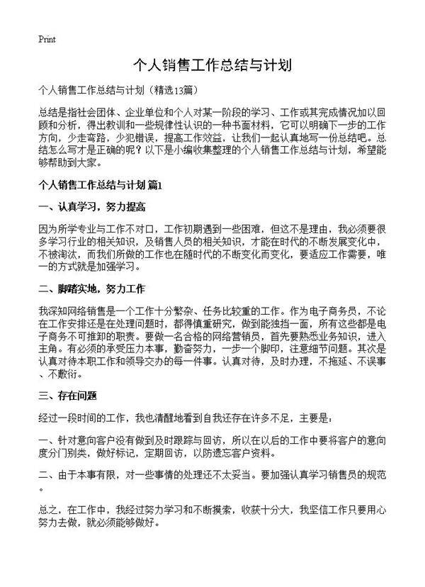 个人销售工作总结与计划13篇