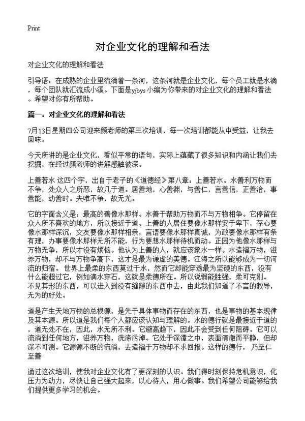 对企业文化的理解和看法