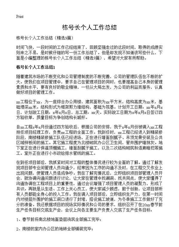 栋号长个人工作总结9篇