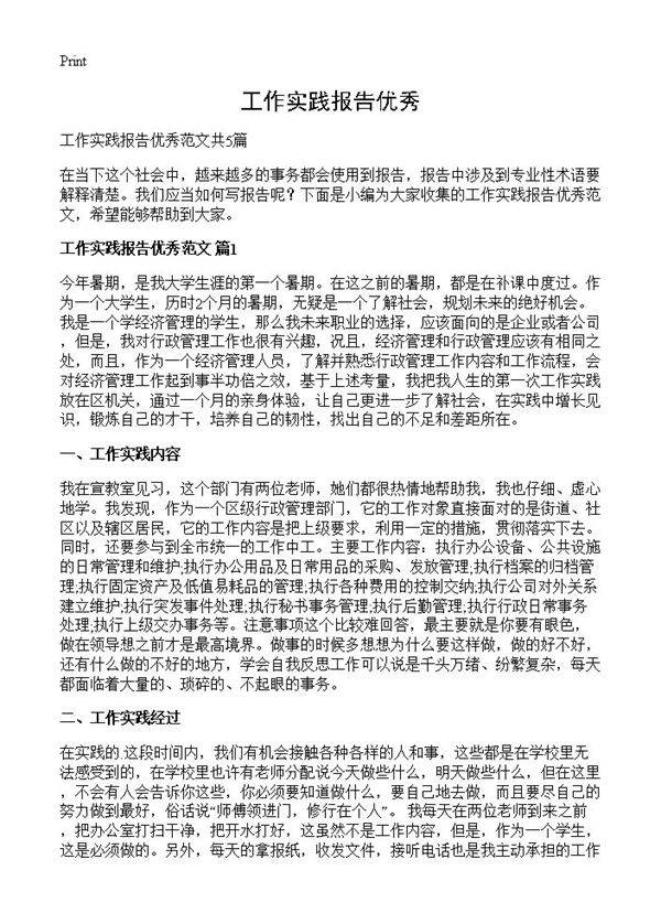 工作实践报告优秀