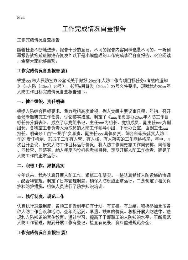 工作完成情况自查报告