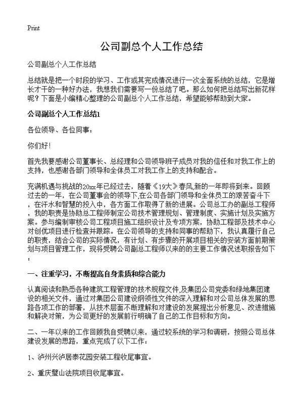 公司副总个人工作总结