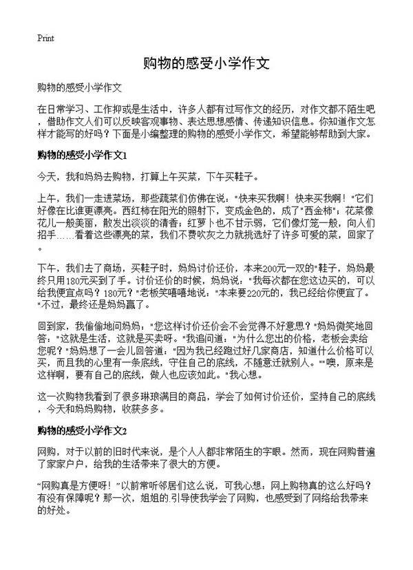 购物的感受小学作文