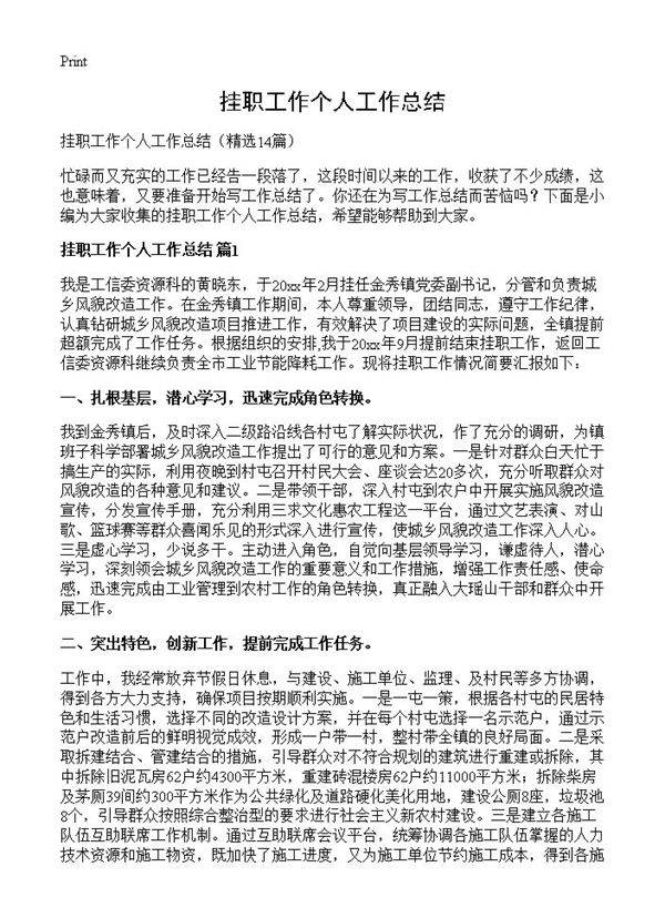 挂职工作个人工作总结14篇