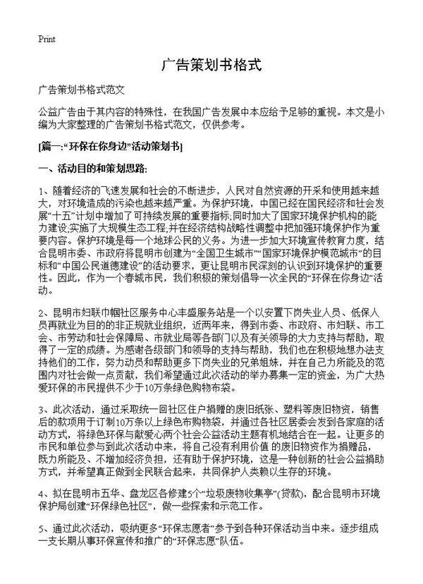 广告策划书格式