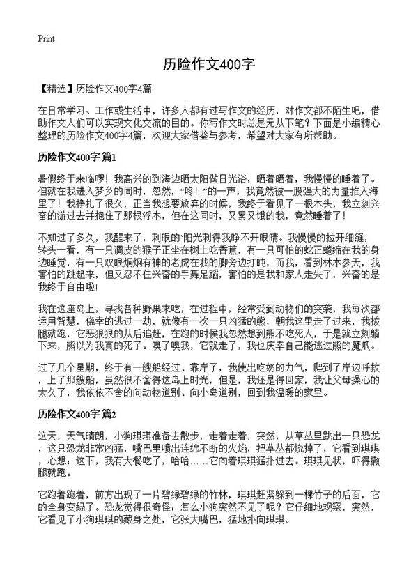 历险作文400字