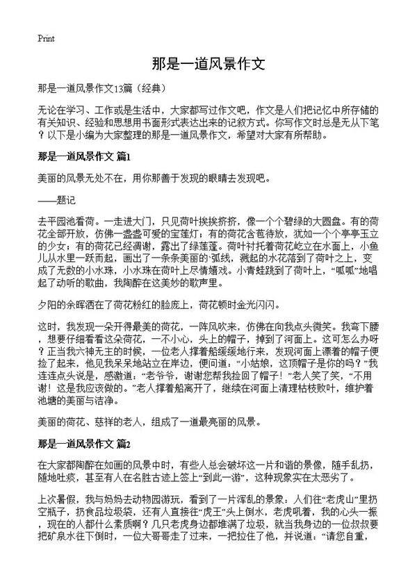 那是一道风景作文
