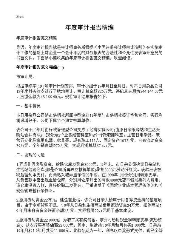 年度审计报告精编
