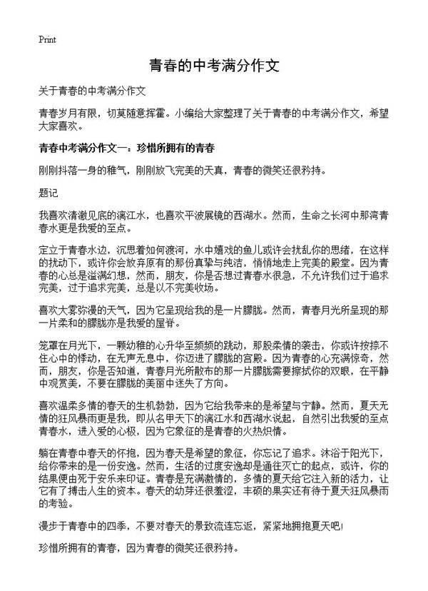 青春的中考满分作文