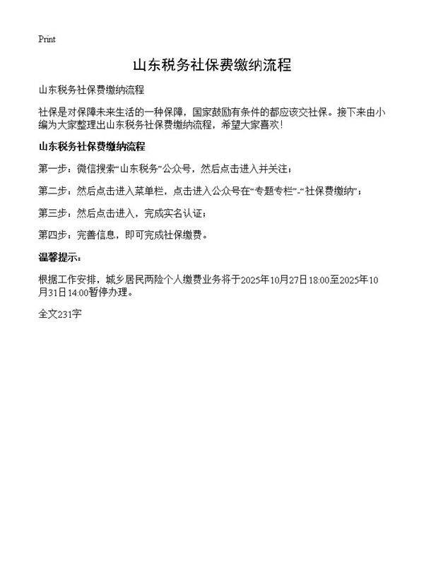 山东税务社保费缴纳流程