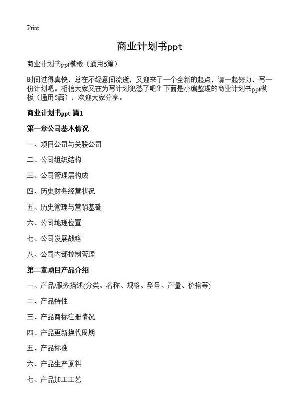 商业计划书ppt5篇