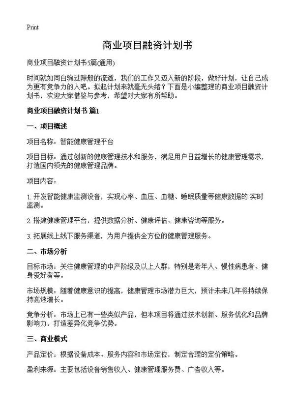 商业项目融资计划书