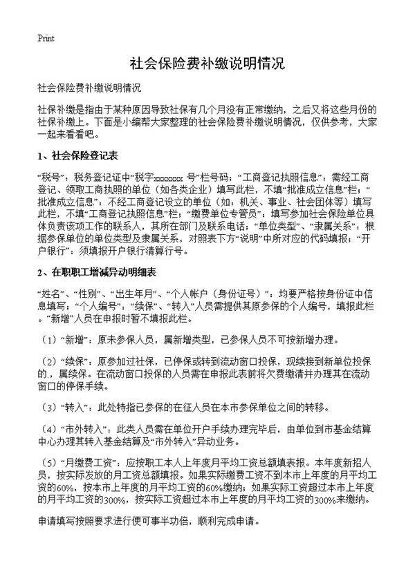 社会保险费补缴说明情况