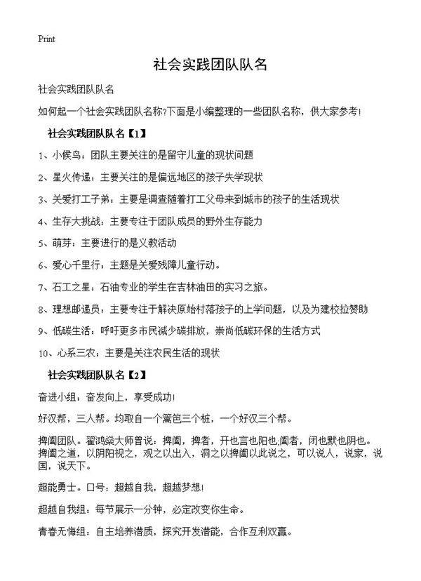 社会实践团队队名