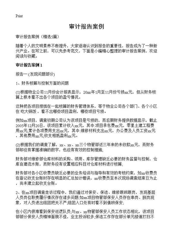 审计报告案例5篇