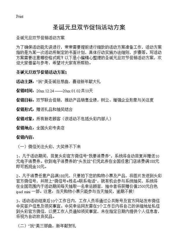 圣诞元旦双节促销活动方案