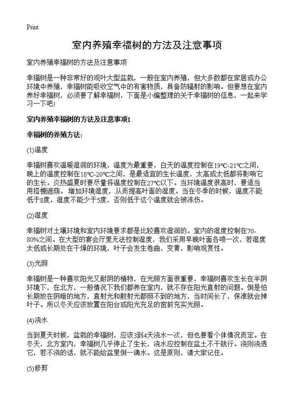 室内养殖幸福树的方法及注意事项