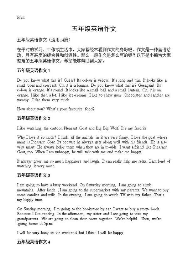 五年级英语作文14篇