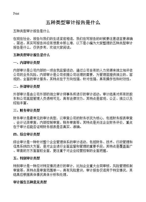 五种类型审计报告是什么