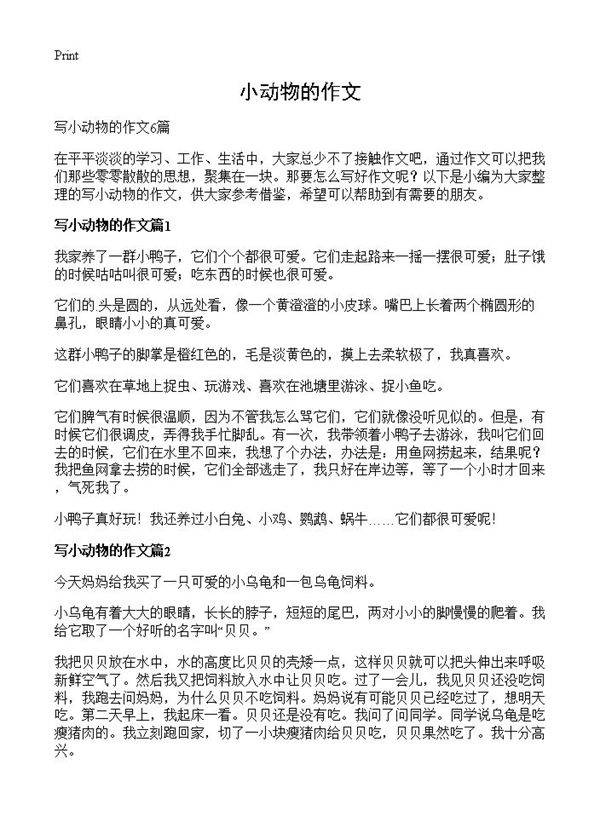 小动物的作文