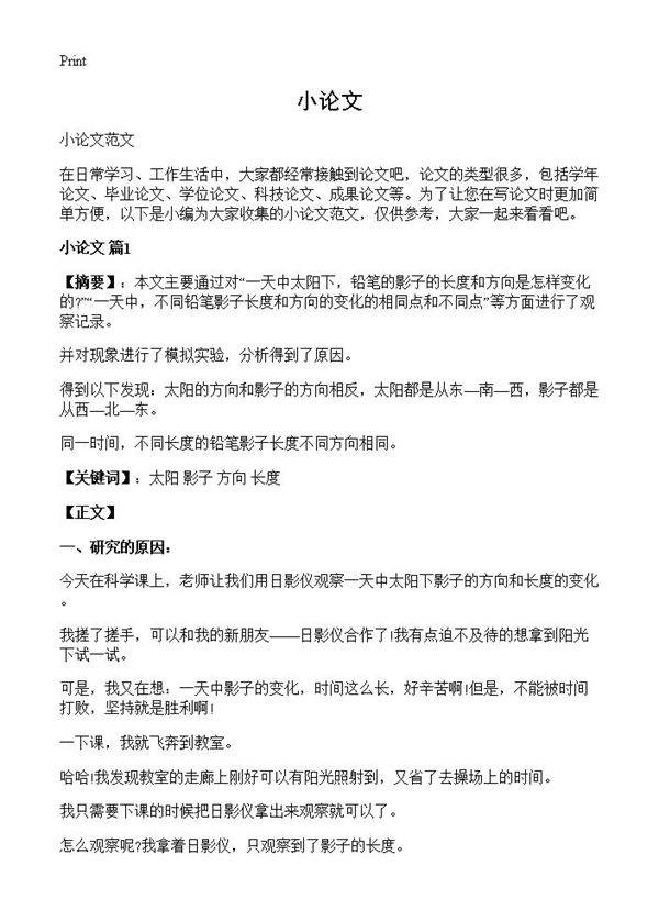 小论文