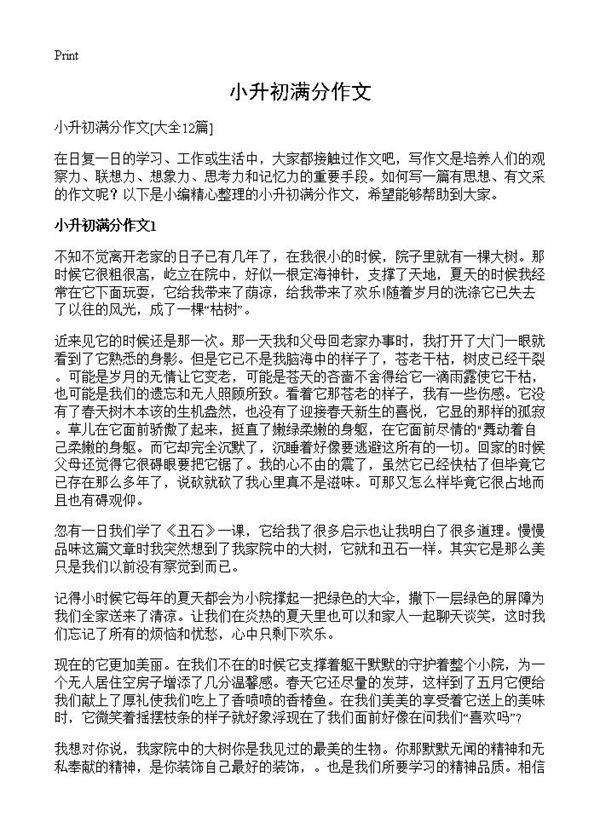 小升初满分作文12篇