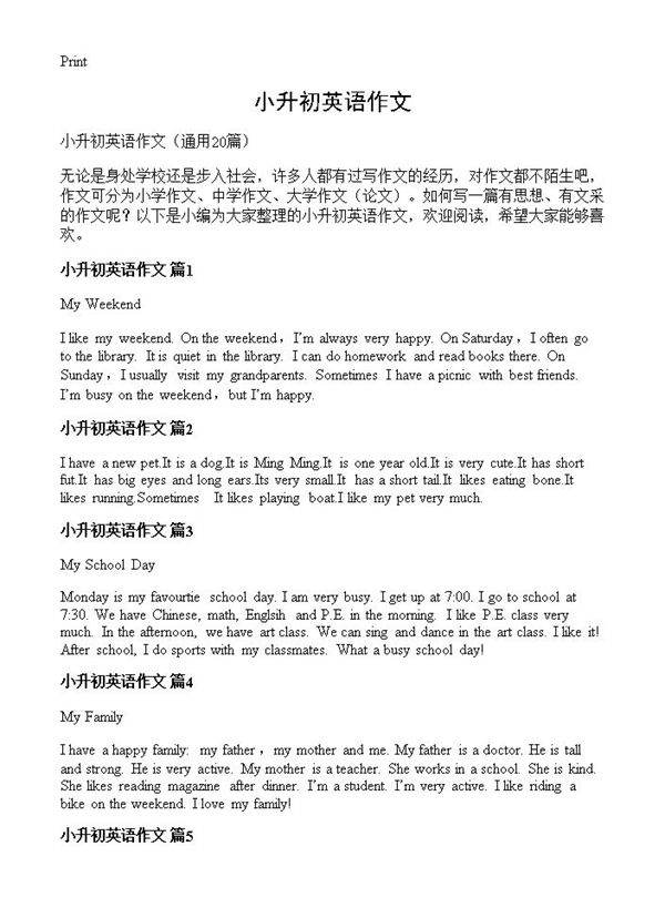 小升初英语作文20篇