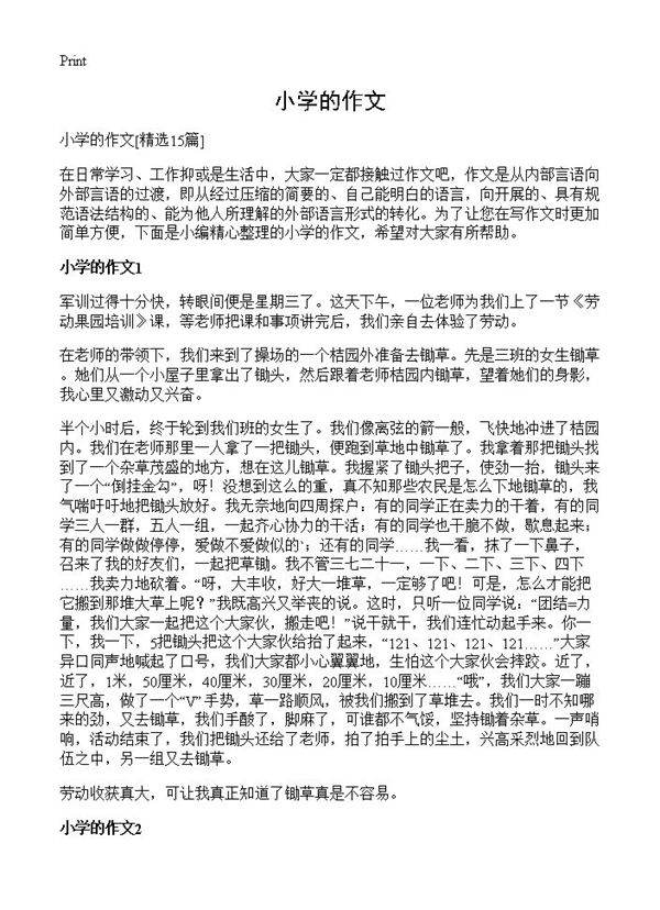 小学的作文15篇
